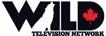 Wild Logo