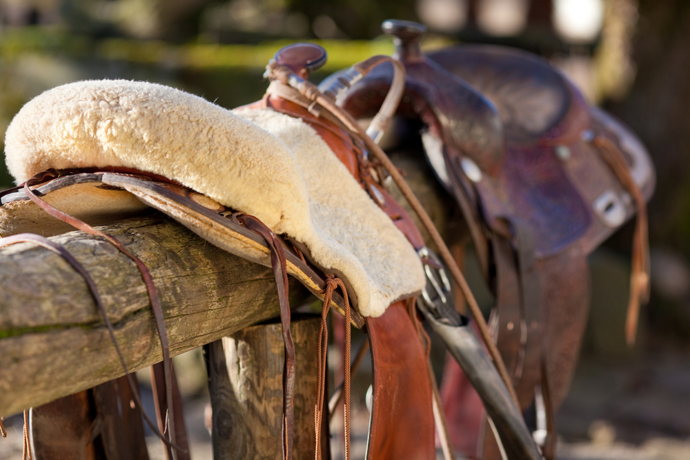 Saddle