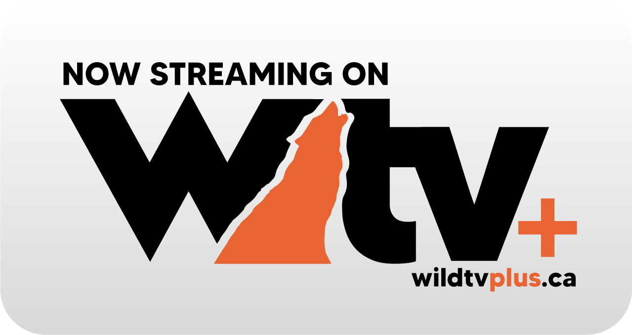 WTV+-Black-Logo-NowStreamingOn