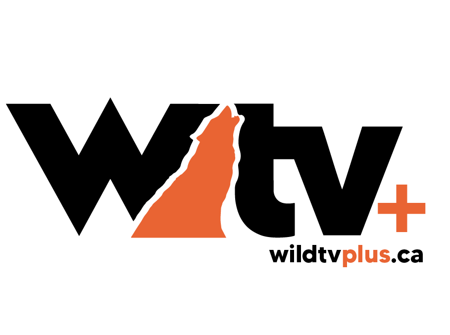 WTV+-Black-Logo_with-web-url2