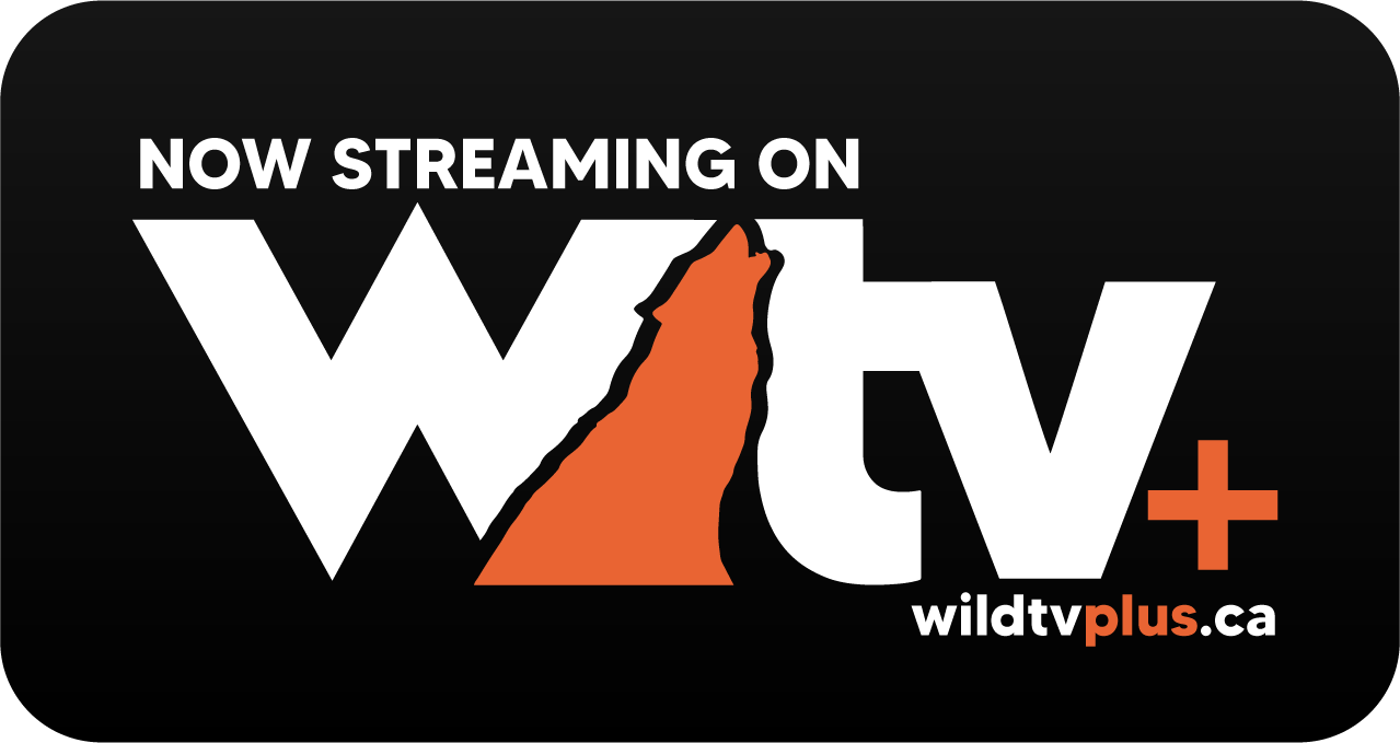 WTV+-White-Logo-NowStreamingOn