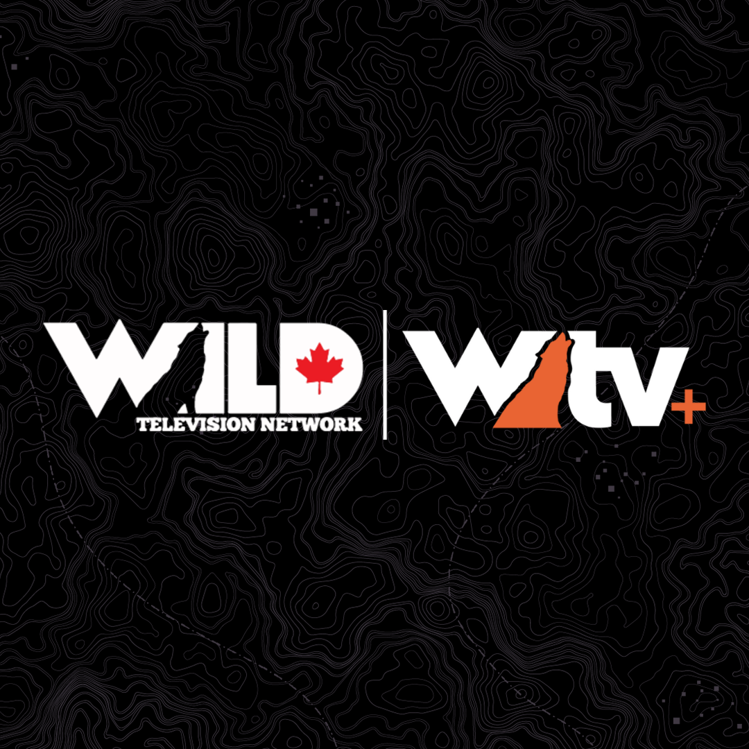 wild-wild-tv-plus-combo-1080x1080