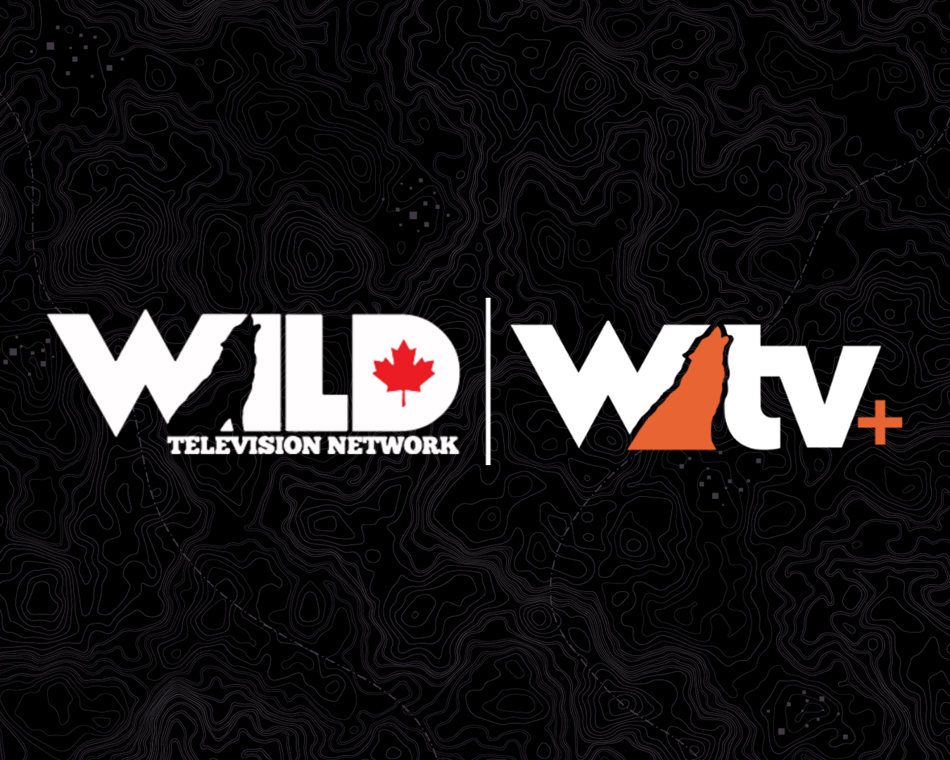 wild-wildtvplus-combo-1350x1080