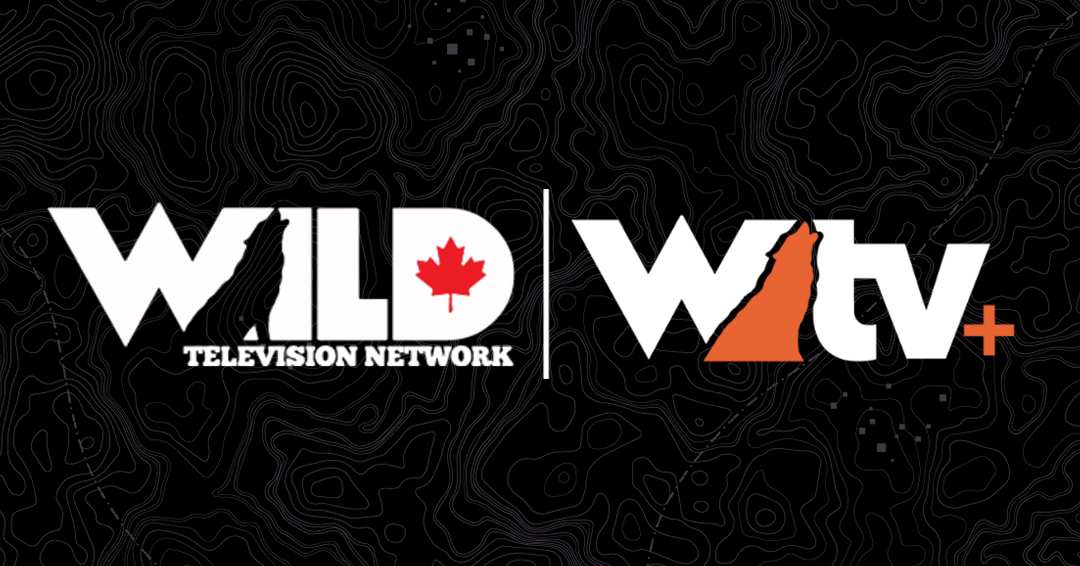 wild-wildtvplus-combo-566x1080.