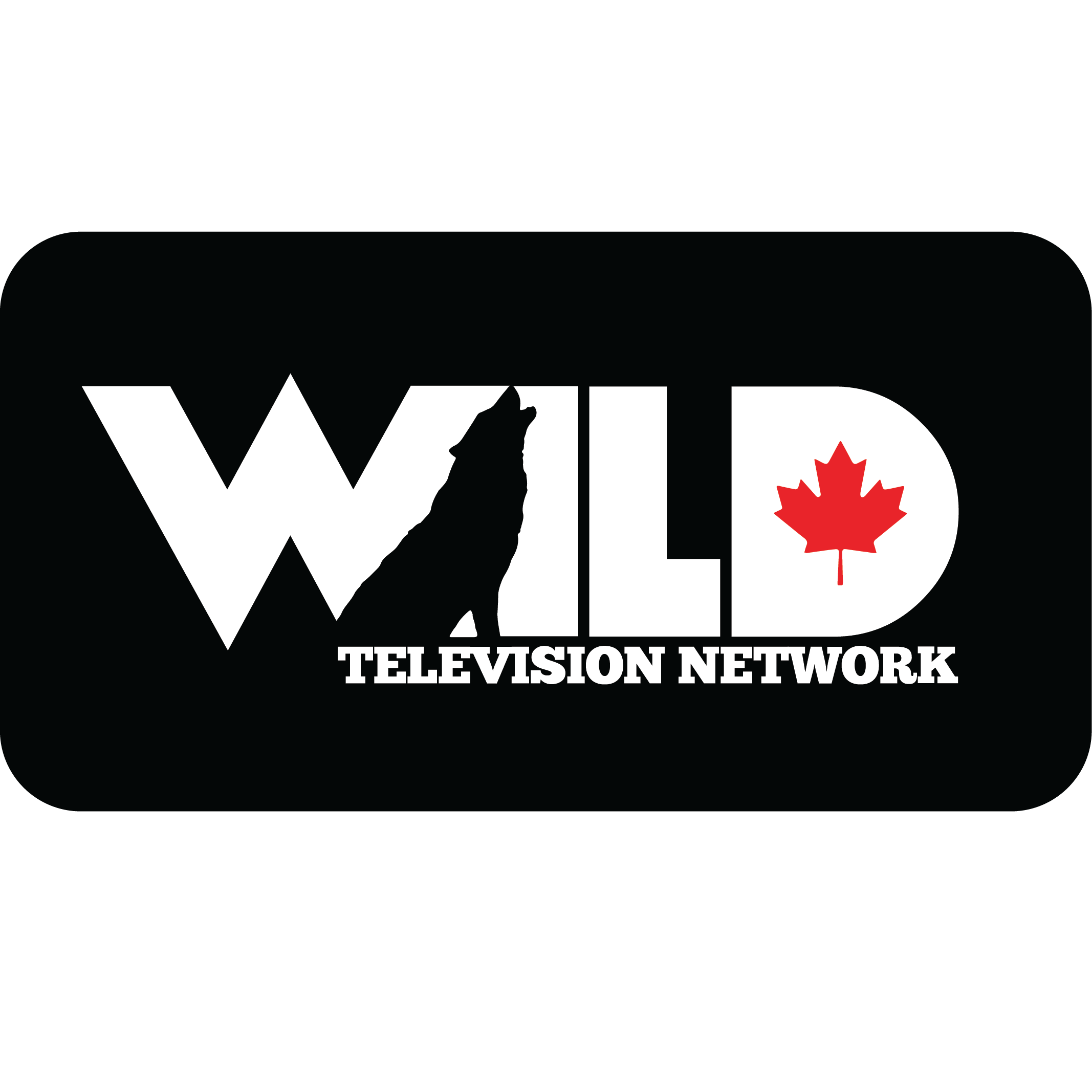 WildTVButton_RectangleBlack